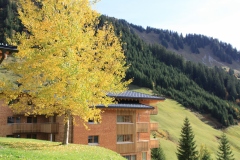 Traumsicht Faschinajoch im Herbst-c-Markus-Amann-36